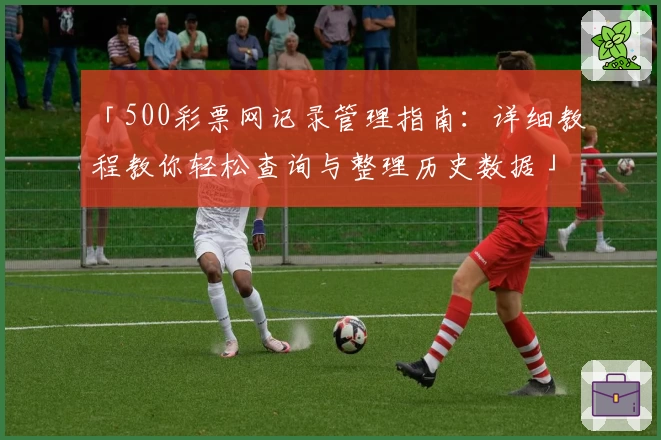 「500彩票网记录管理指南：详细教程教你轻松查询与整理历史数据」