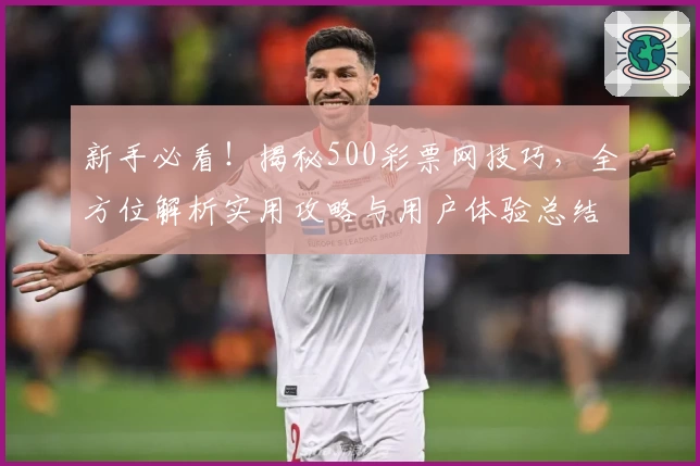 新手必看！揭秘500彩票网技巧，全方位解析实用攻略与用户体验总结